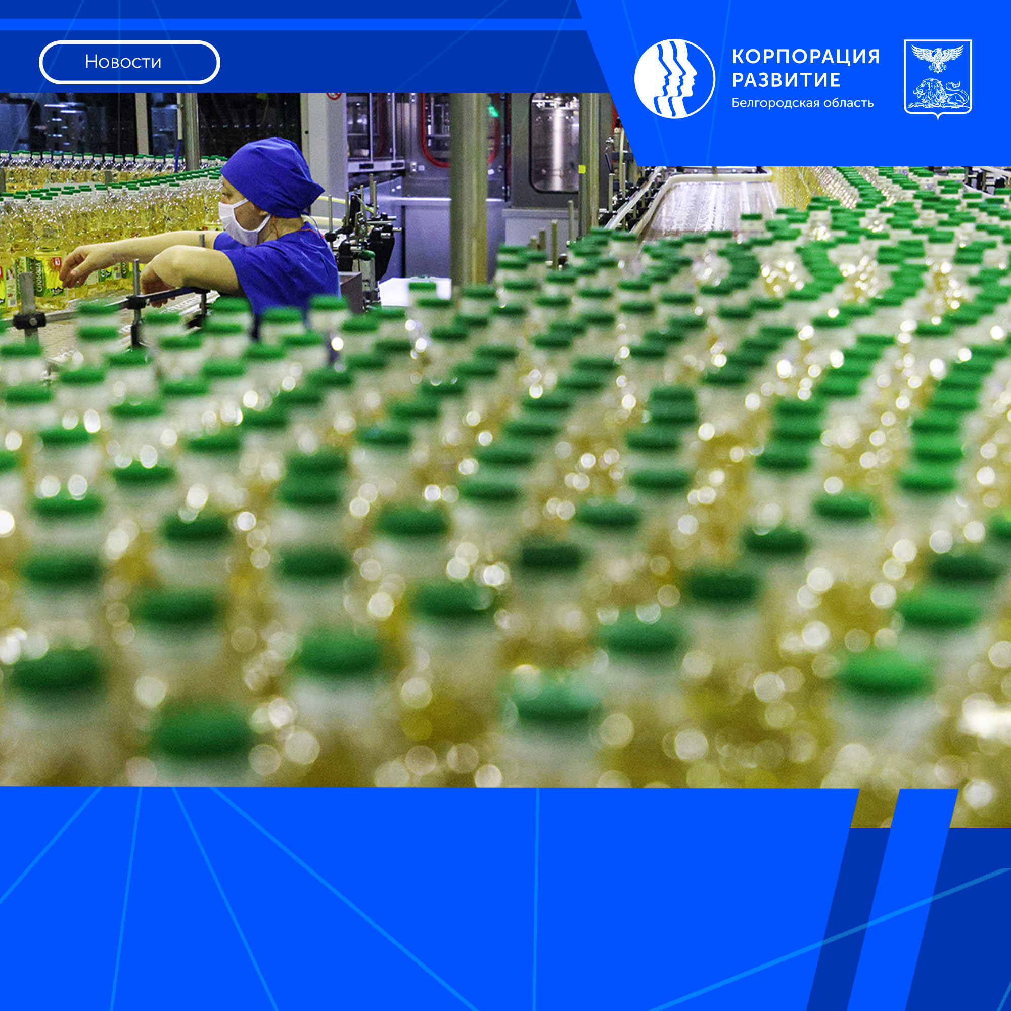 Рост экспорта белгородской сельскохозяйственной продукции в I квартале 2026 году