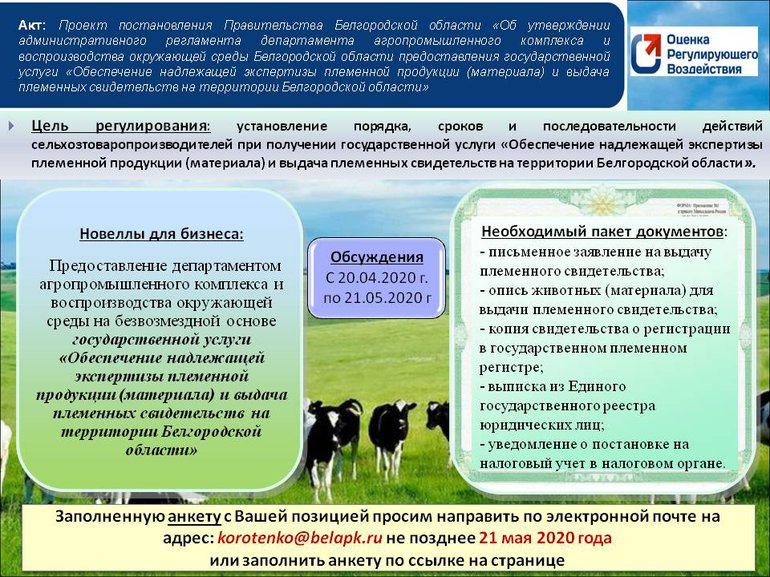 2 Slaid_Reglament.width-770.jpg